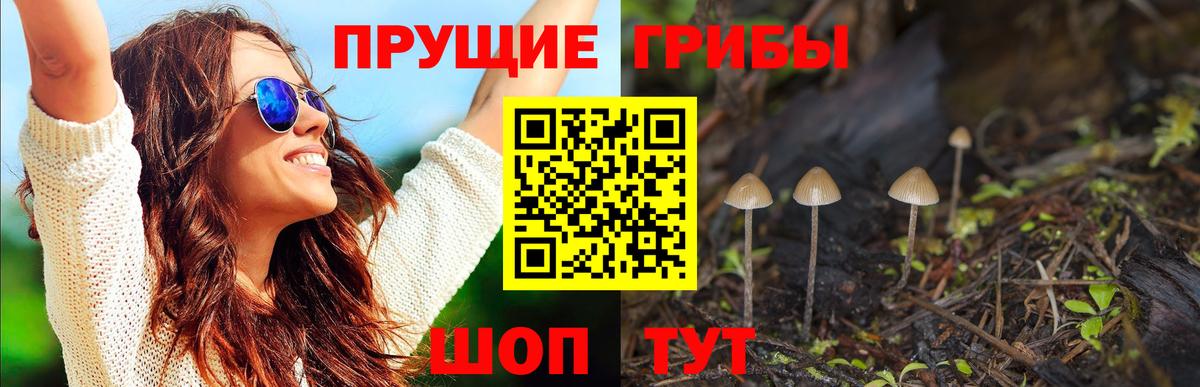 Псилоцибиновые грибы прущие грибы  Галлюциногенные грибы Magic Shrooms  Усолье-Сибирское  Вход с VPN 