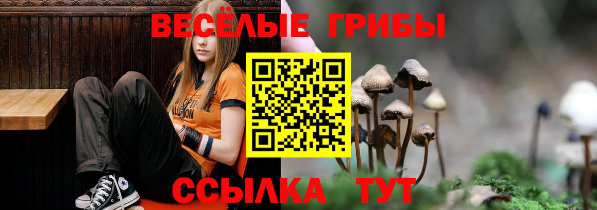 Галлюциногенные грибы мухоморы Усолье-Сибирское